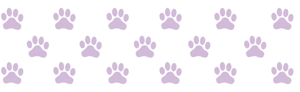 Pug puppies for sale